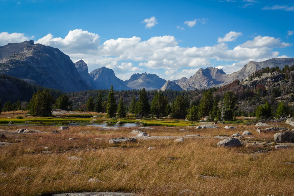 fall meadow with mountains in the distance in the wind river range