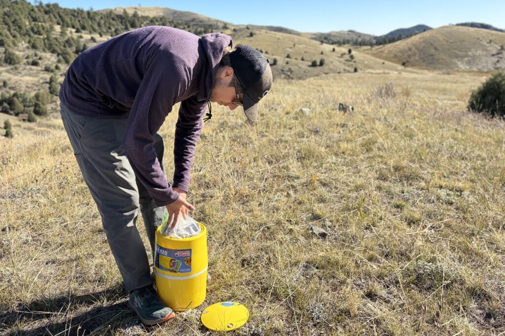 A hiker bends over to pack a yellow bear canister.