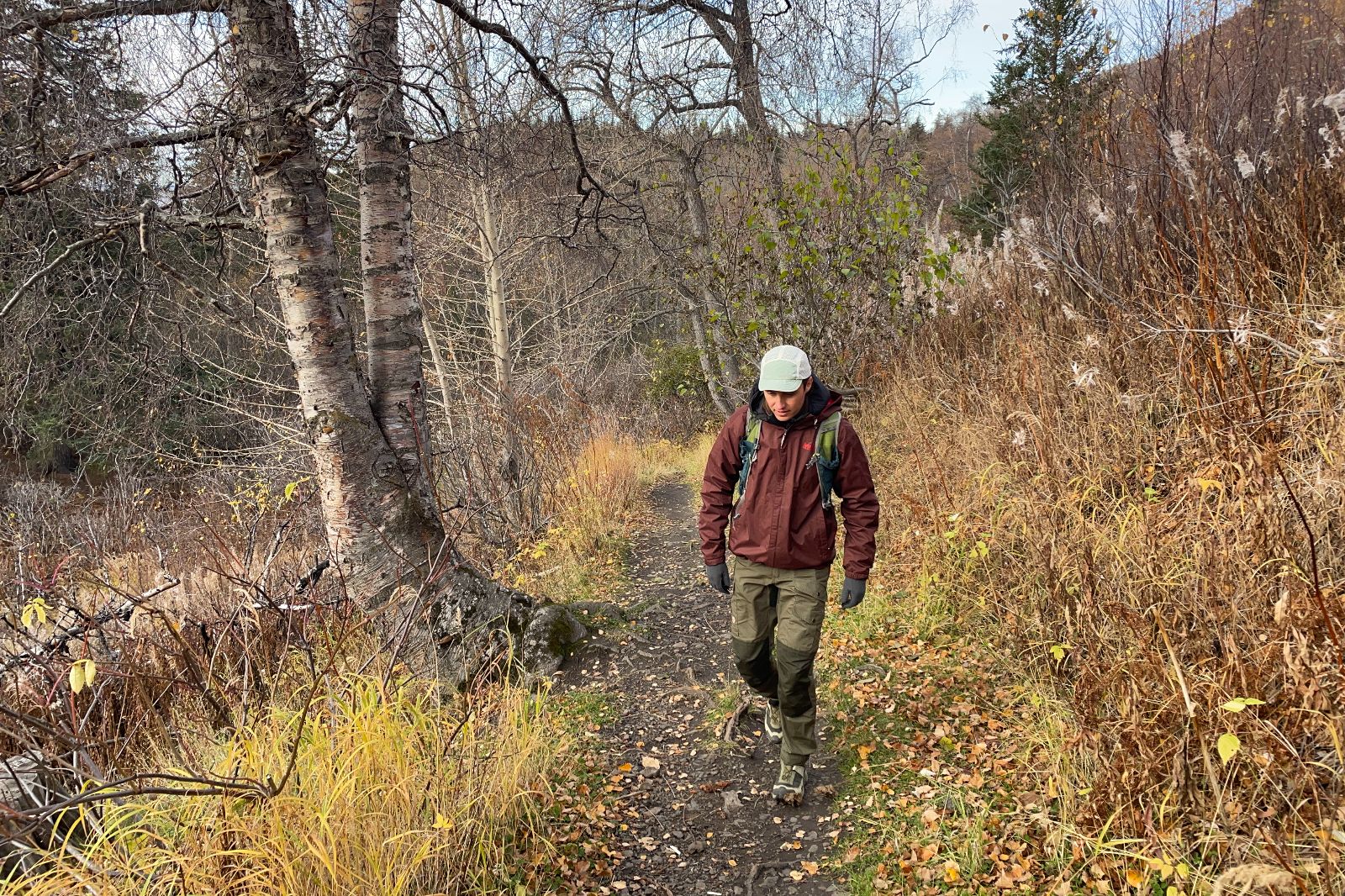 A man hikes through a forest in fall wearing a maroon jacket.