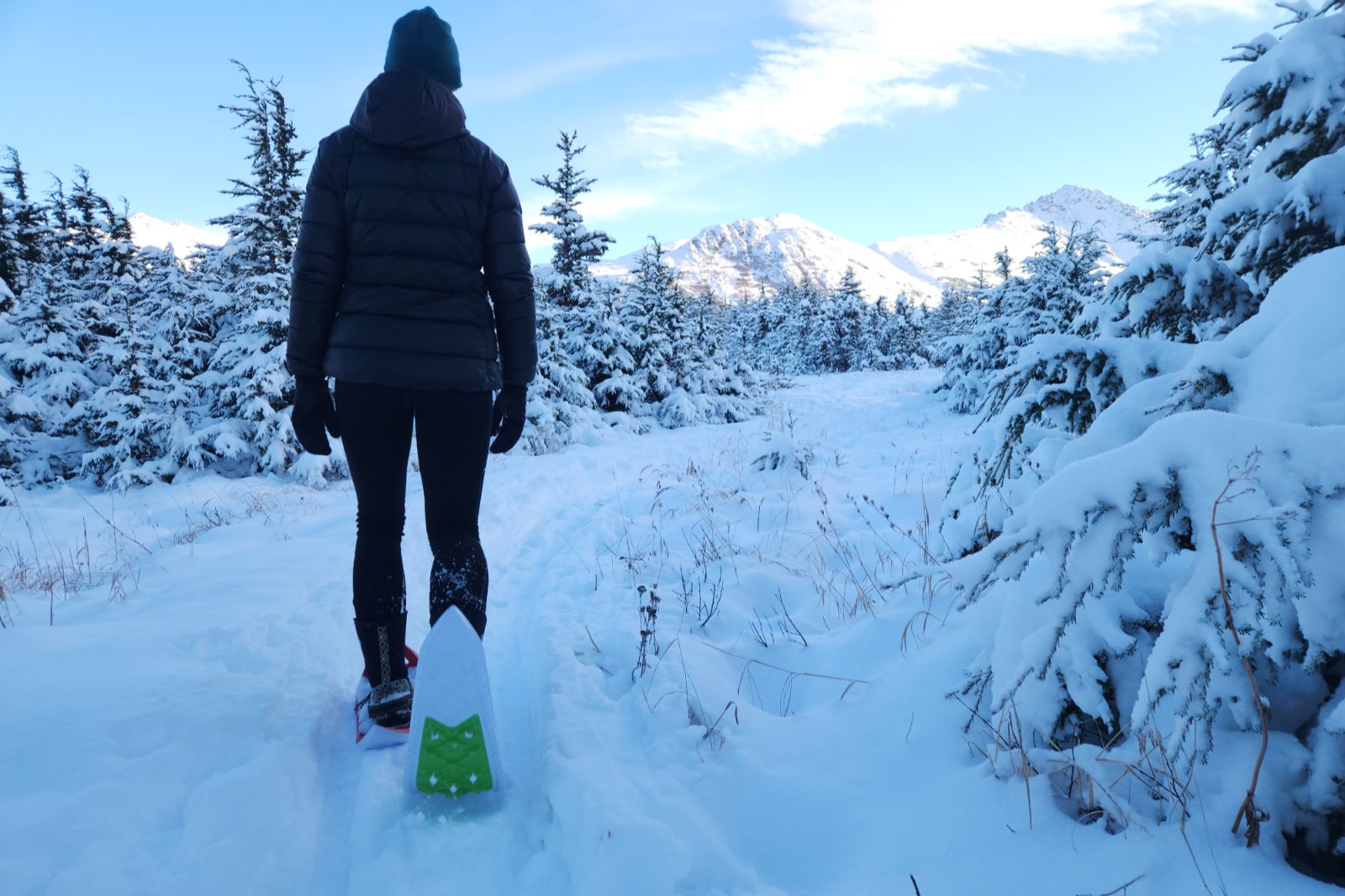 A woman snowshoes through a winter landscape
