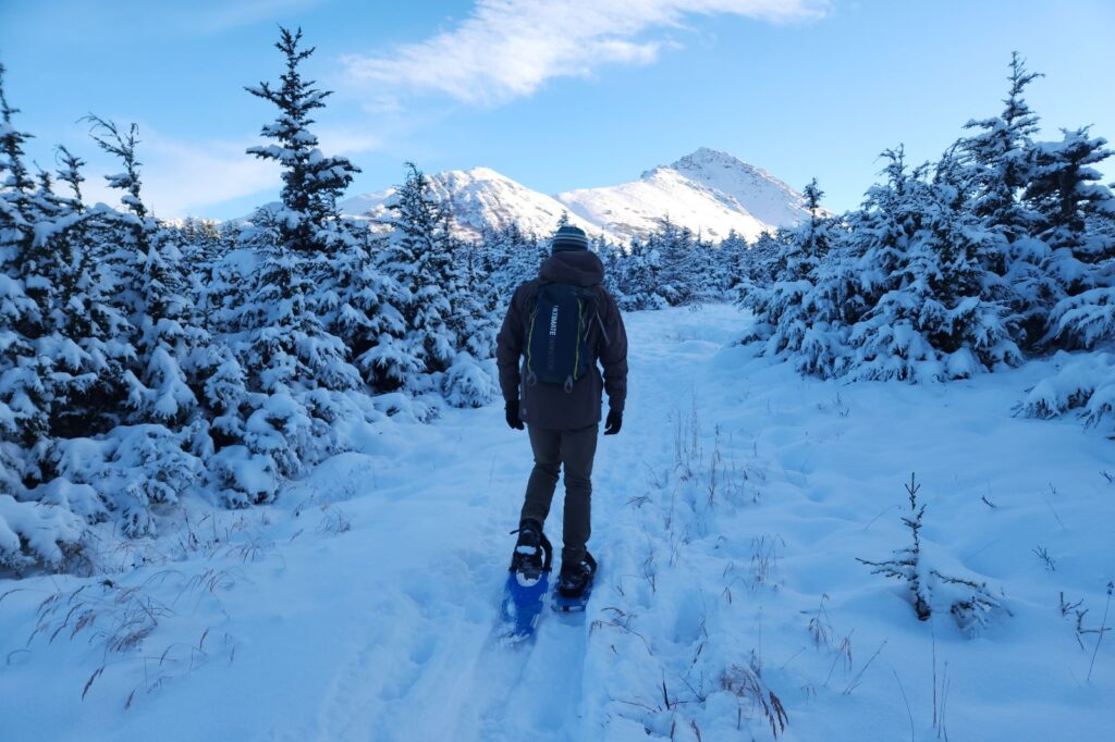 A man walks away from the camera while hiking with snowshoes.