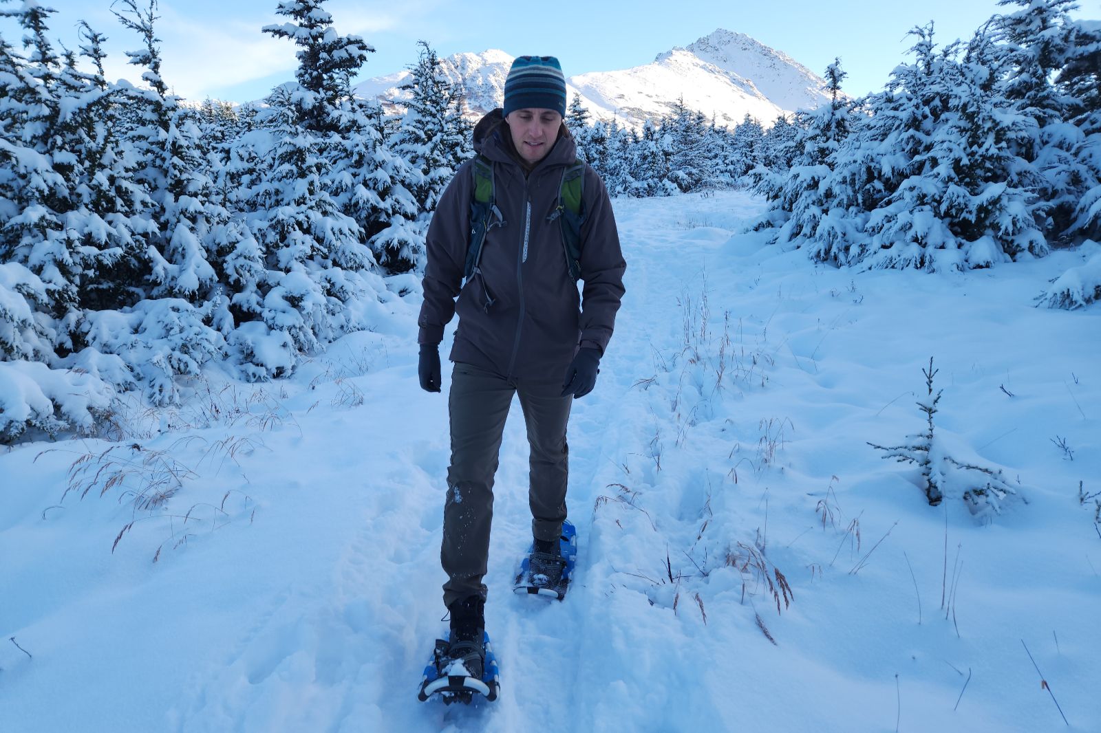 A man snowshoes through a winter landscape.