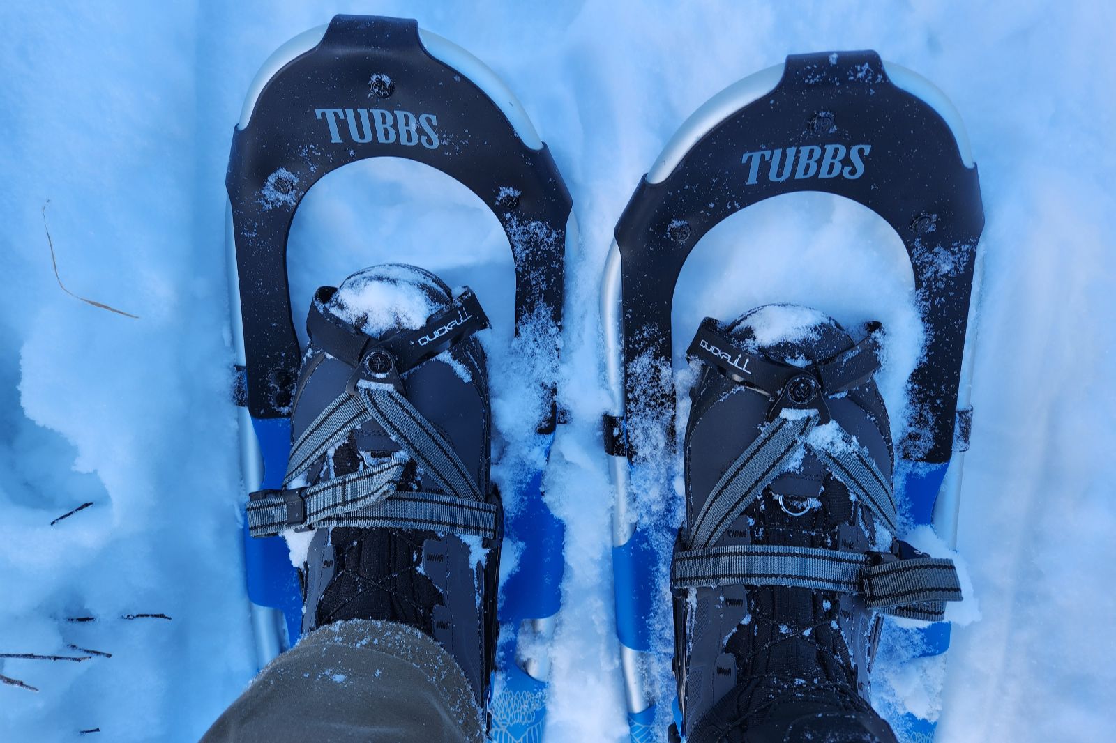 A closeup of the forefoot of snowshoe