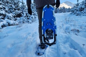 A closeup of the underside of snowshoes showing the traction teeth.