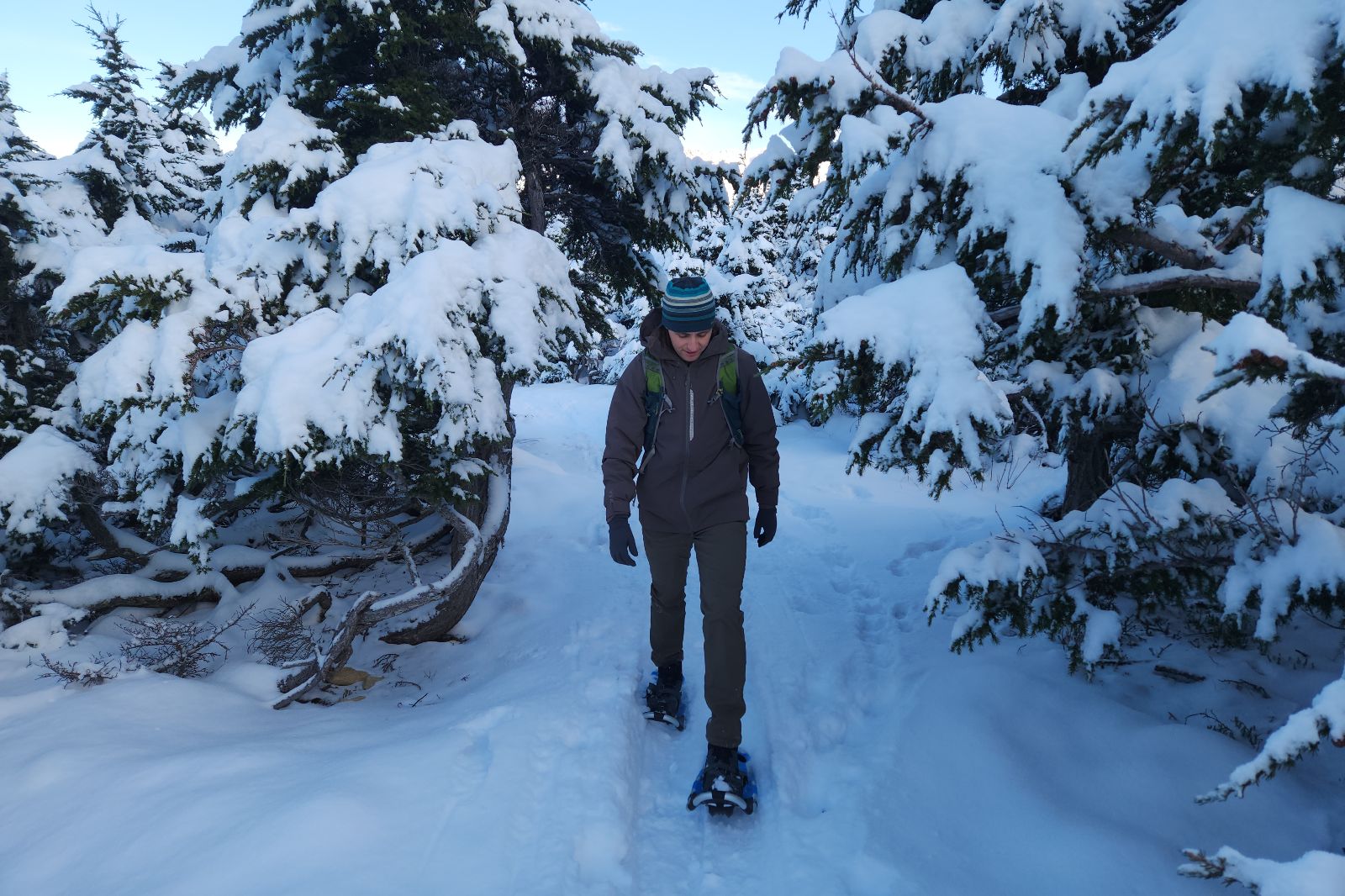 A man walks thorugh snow laden trees.