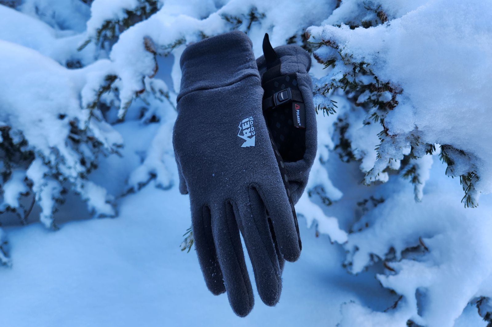 A pair of gloves hangs from a tree branch.