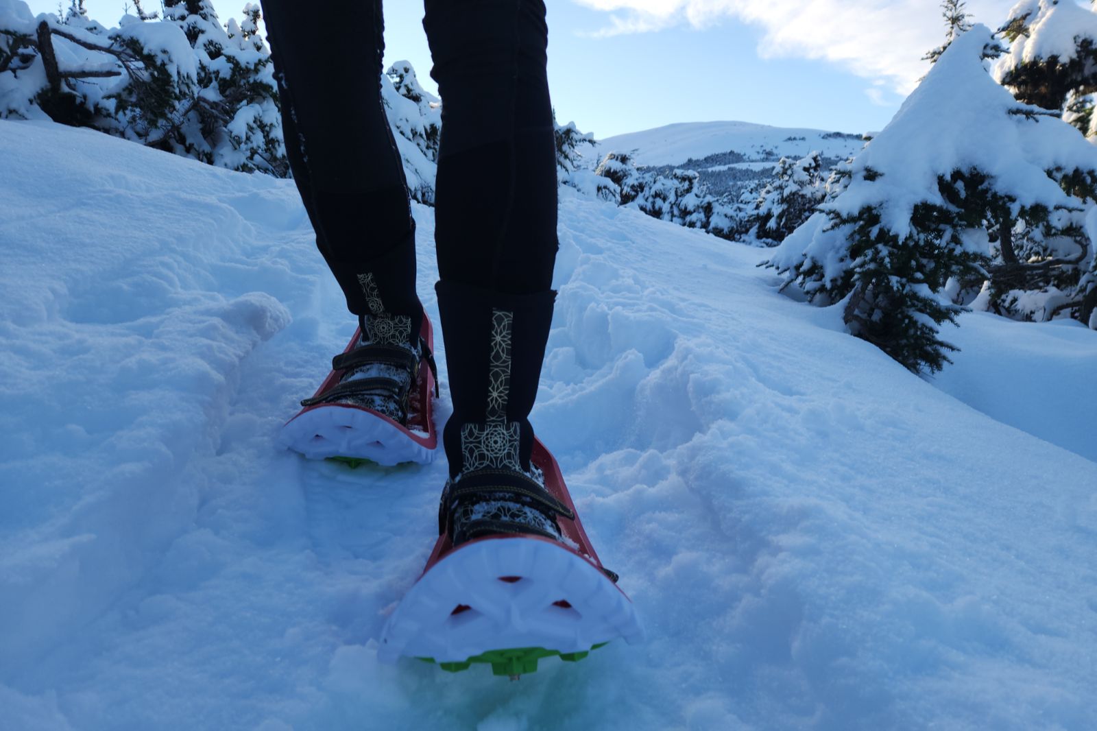 A closeup of the front of snowshoes on a snowy trail.