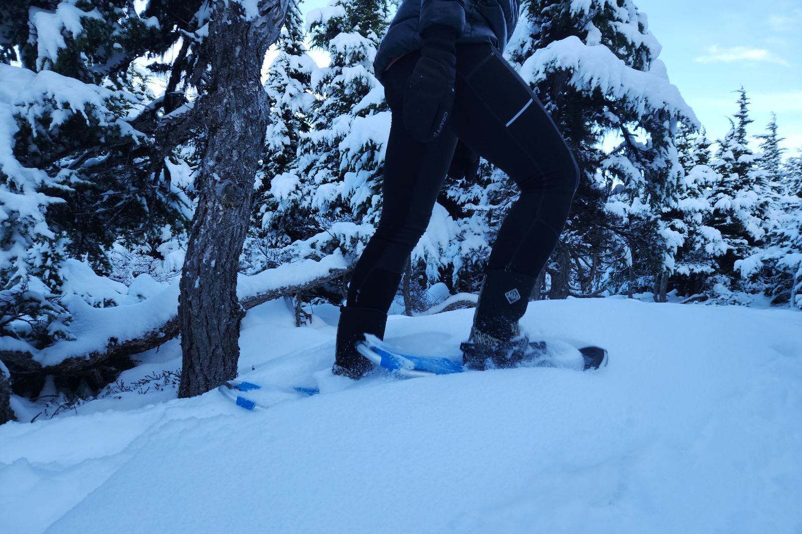 A woman hikes thorugh deep snow while wearing blue snowshoes.