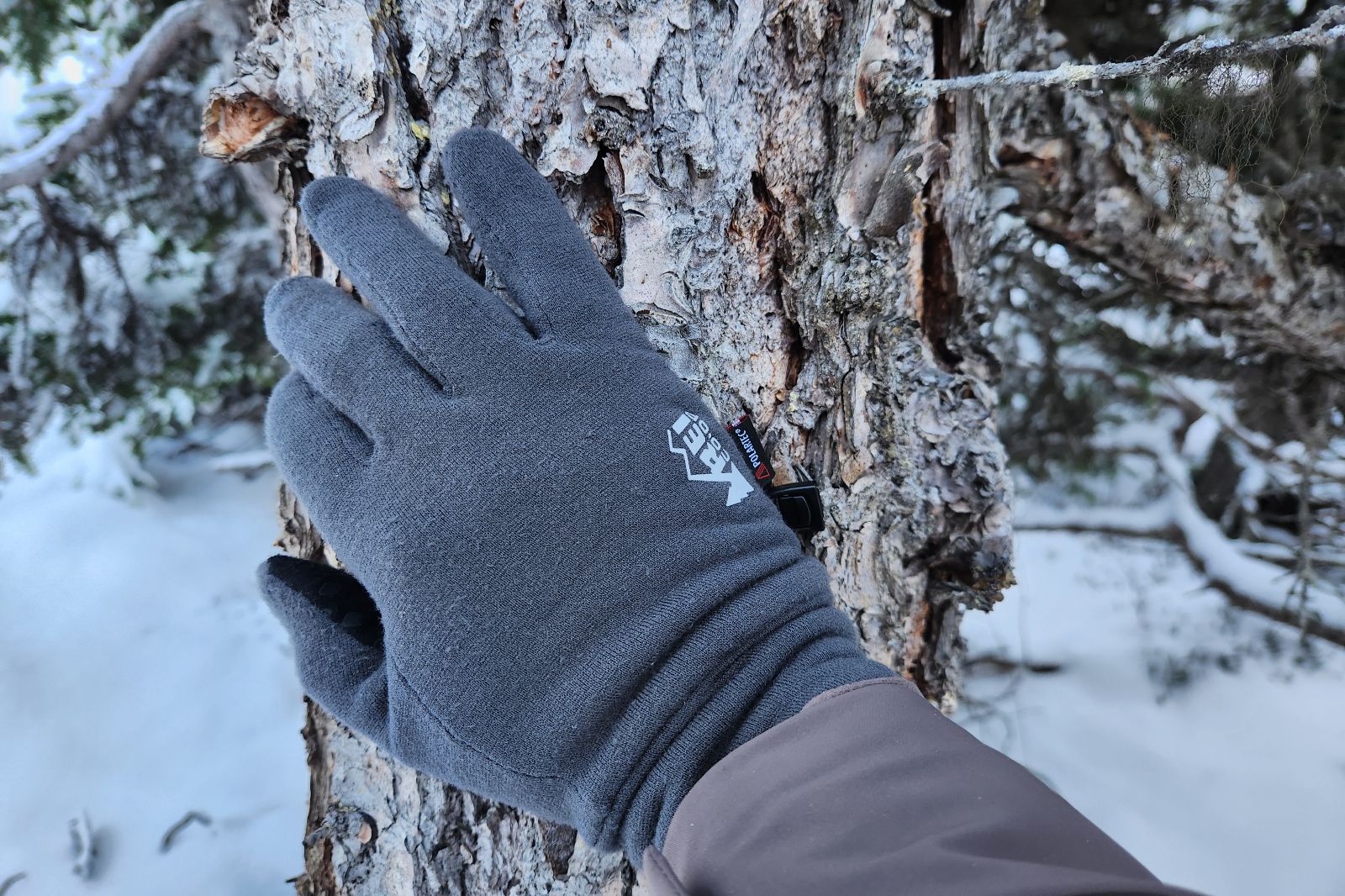 A closeup of gloves grabbing a tree trunk.