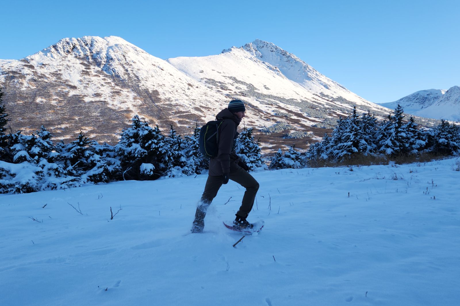 A man walks through a snowy field wearing snowshoes.