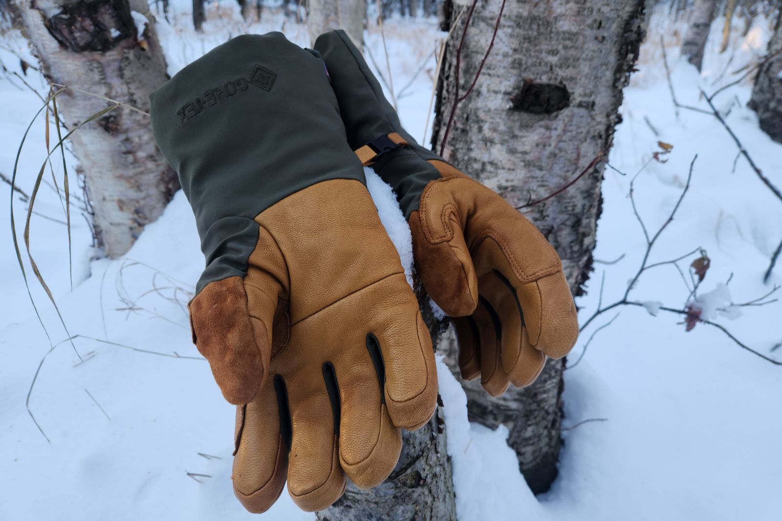 A pair of gloves sitting on a stump in the woods.