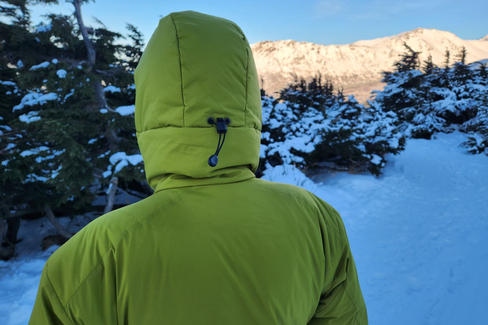 A close-up of the hood of a green jacket.