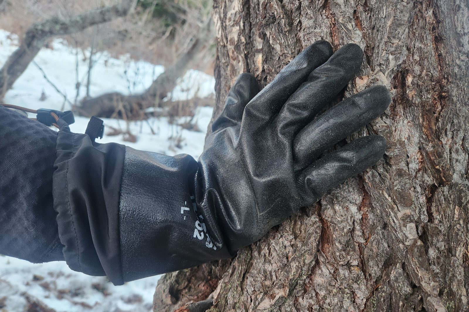 A pair of gloves on a tree trunk.