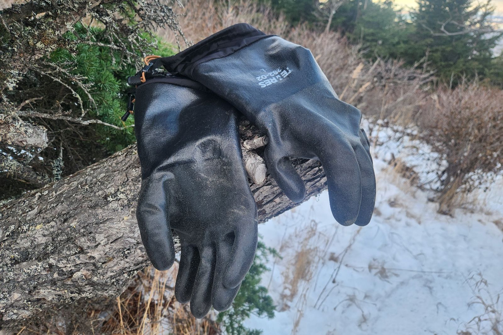 A pair of black gloves sitting on a tree stump.