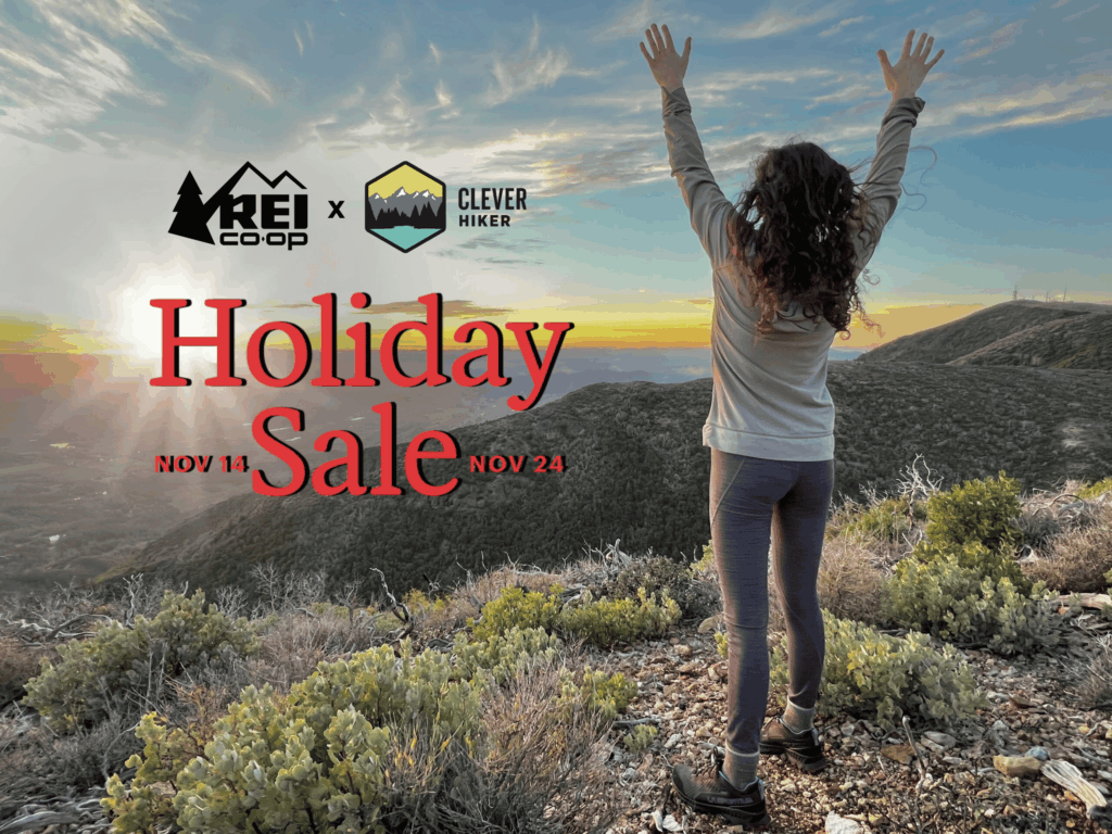 REI Holiday Sale Graphic - Excerpt