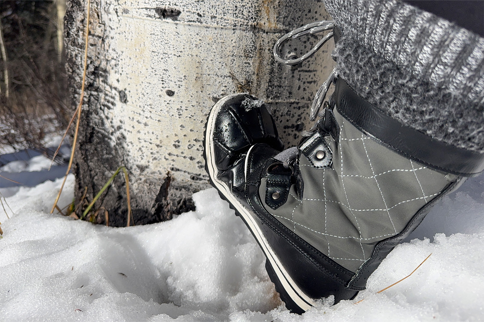 Close up of the Dream Pairs boot as one is propped against an aspen tree in the snow.