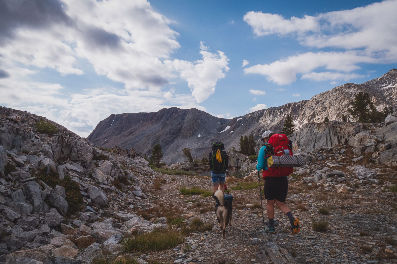 Pregnant person backpacking with a dog and another person.