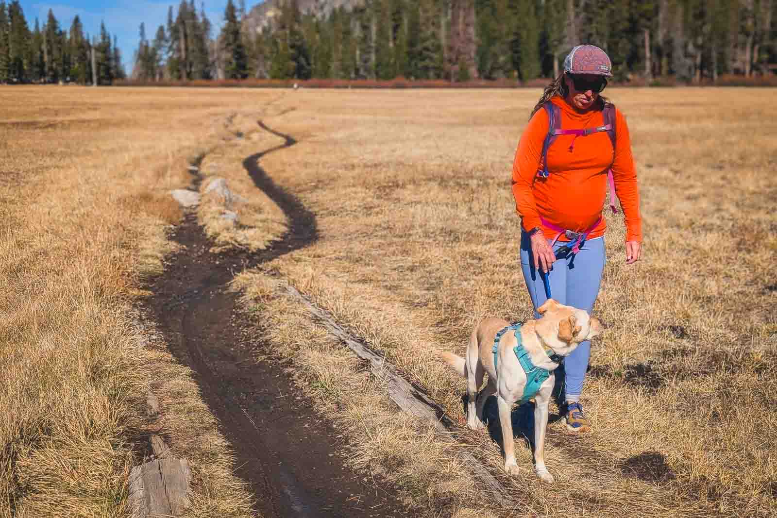 Pregnant person hiking in a meadow wearing a bright orange sun hoodie, with their small yellow/white dog.