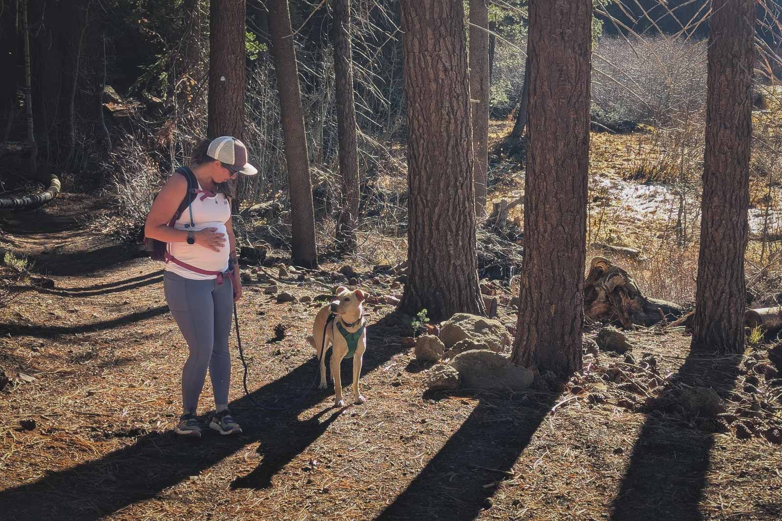 Pregnant person hiking holding their belly, looking down at their dog.