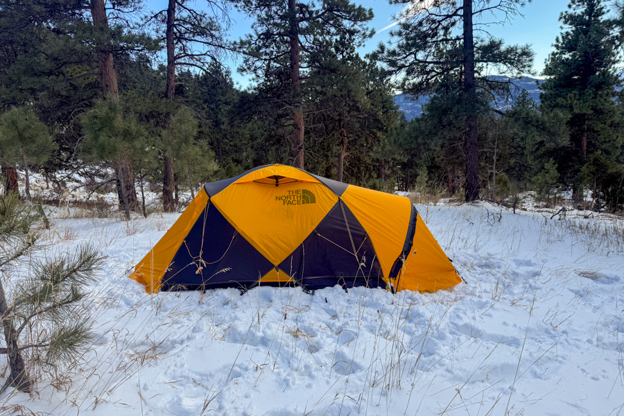 The North Face Mountain 25 tent fully pitched in snowy forest terrain, featuring its iconic yellow and black fly panels beneath tall pine trees.