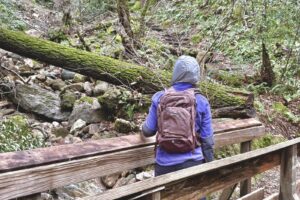A woman walks across a bridge with her day pack.