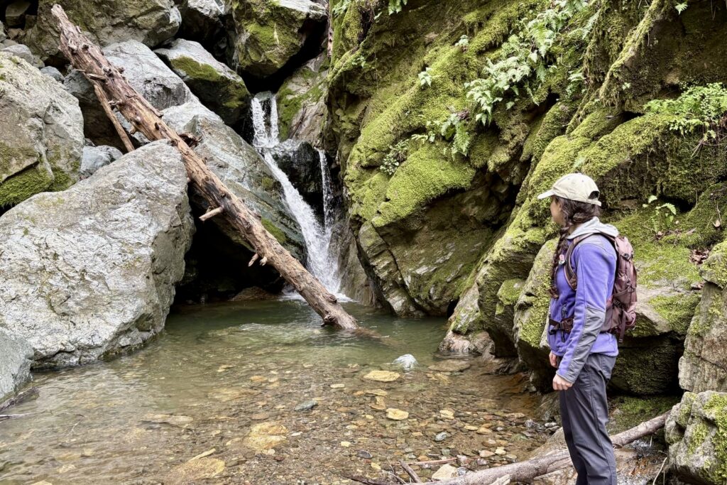 A woman looks out at a waterfall on trail.