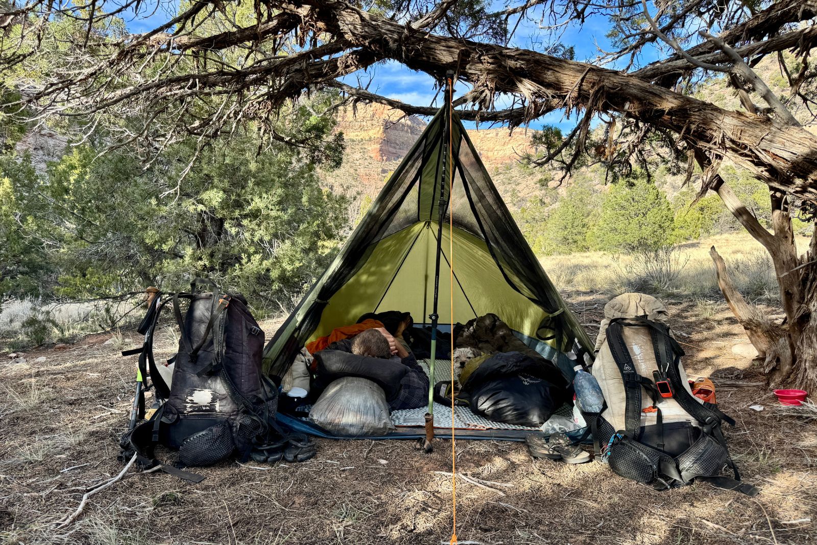 The River Country trekker tent is set up under a pinion tree in a canyon. The fly is off of it and two backpacks are propped up on either side of it. A person and small dog are laying down inside the tent.