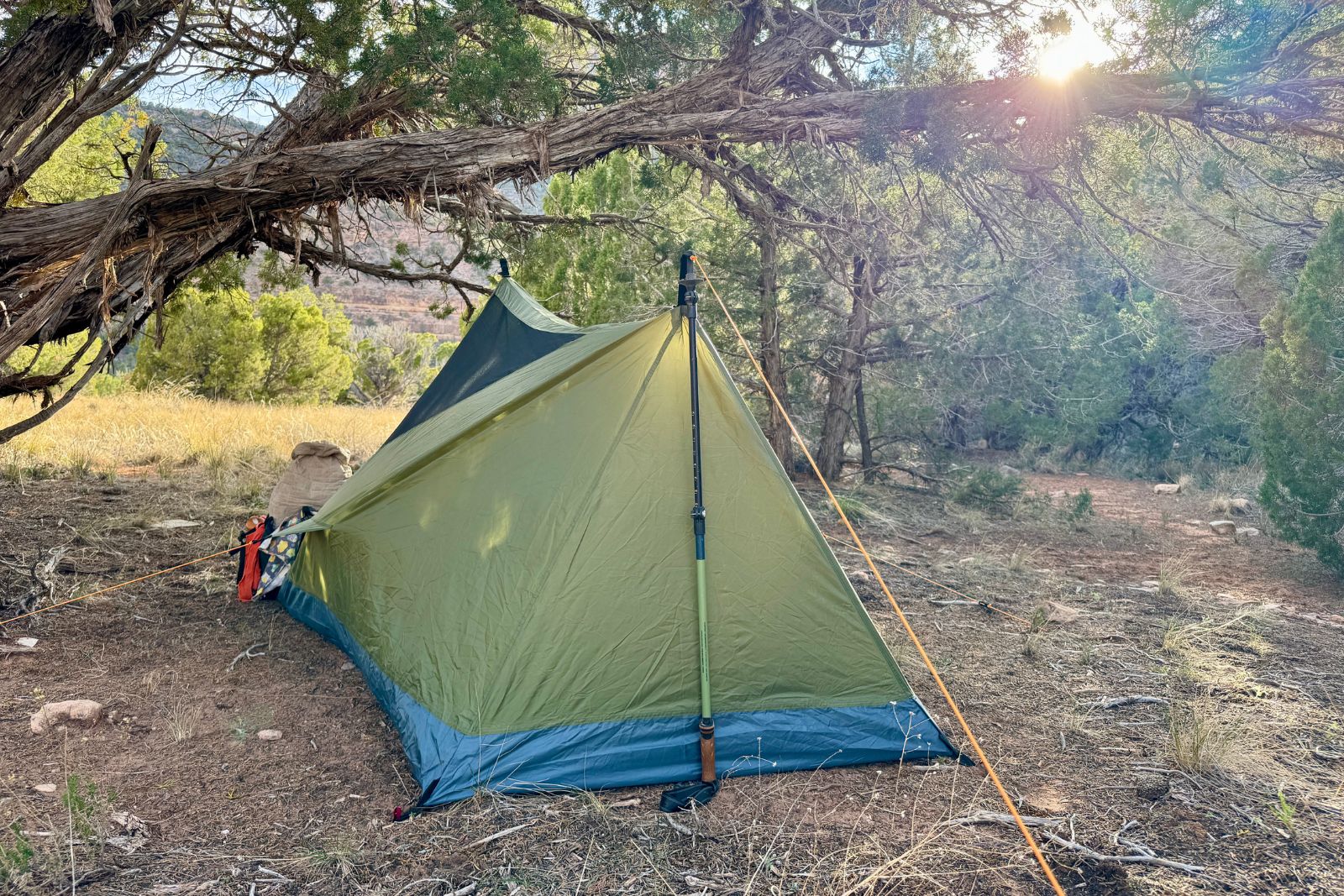 The River Country tent is set up without the fly on under a pinion tree. A trekking pole is holding up the back end of the tent.