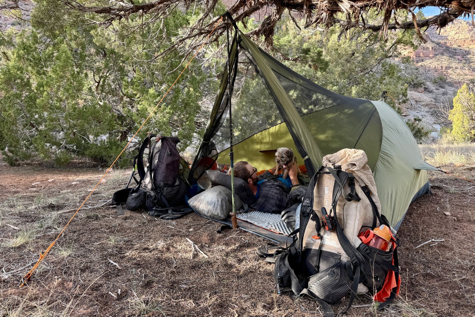 The River Country trekker tent is set up under a pinion tree in a canyon. The fly is off of it and two backpacks are propped up on either side of it. A person and small dog are laying down inside the tent.
