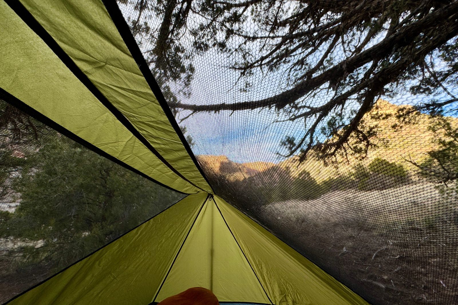 A view from inside the River Country tent showing that users can look outside when the rain fly is left off. Pinion pines and canyon walls are visible outside the tent through the mesh.