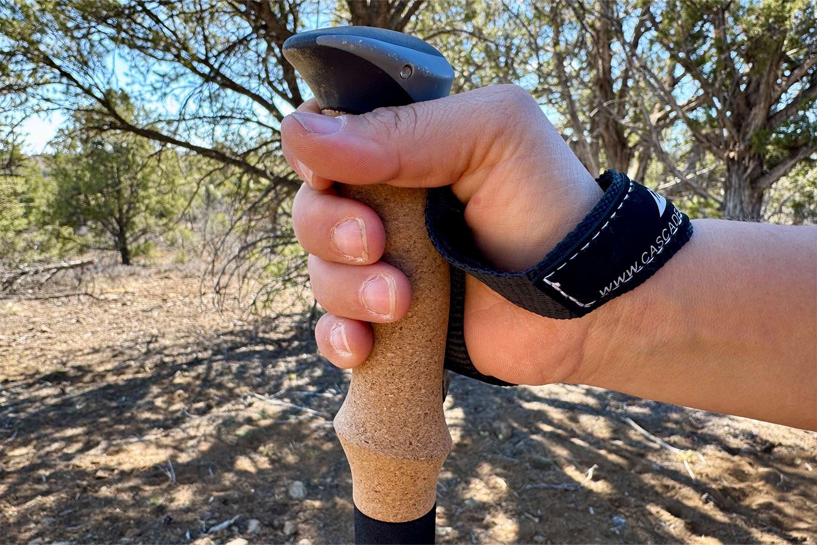 A close up of a hand holding the cork handles of the Cascade poles. There are pinion and juniper trees in the background.