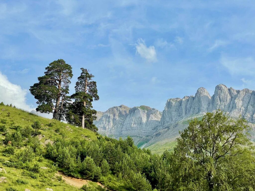 Massive limestone cliffs with trees in the foreground