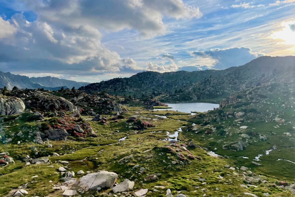a colorful green and alpine landscape with pink flowers and a lake