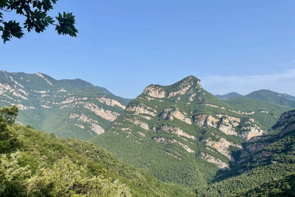 dry, arid mountains with green foliage