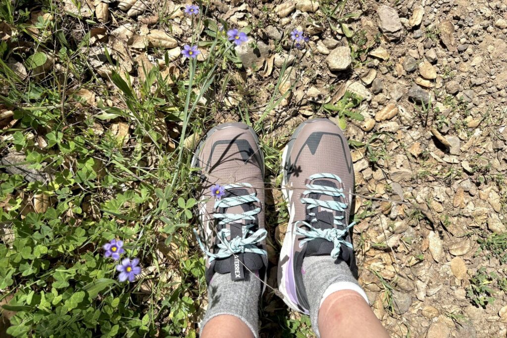 Closeup showing the tops of a pair of hiking shoes.