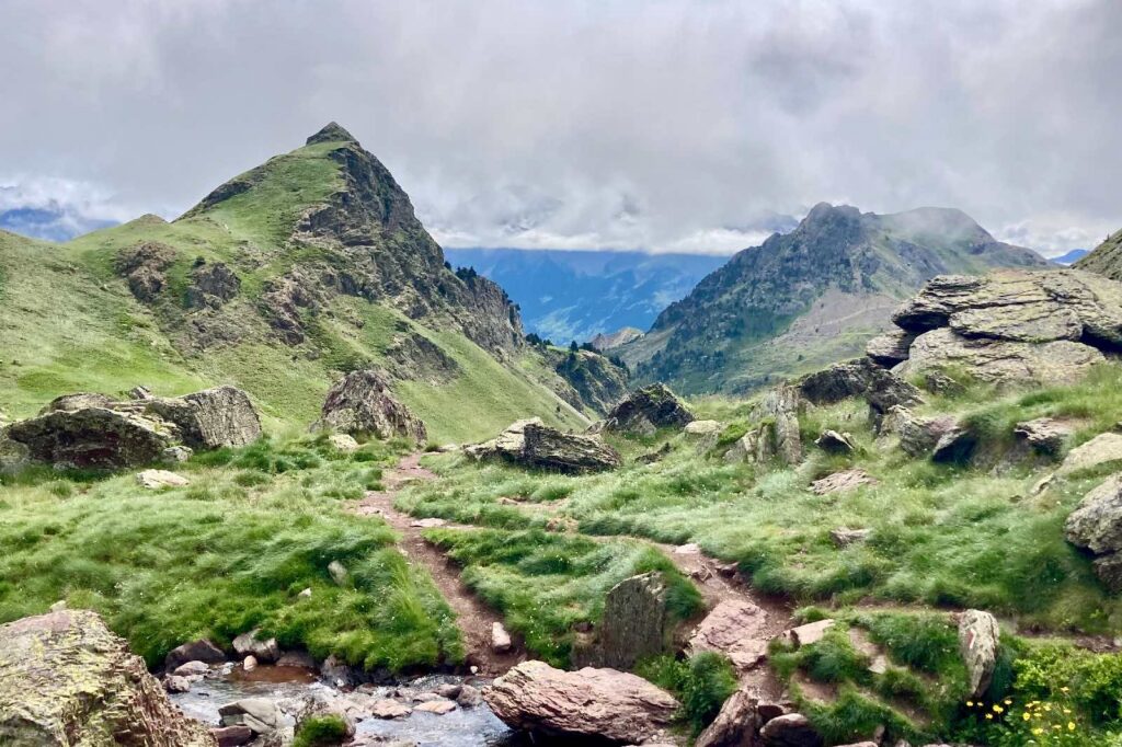 A very grassy mountain side with pointy peaks