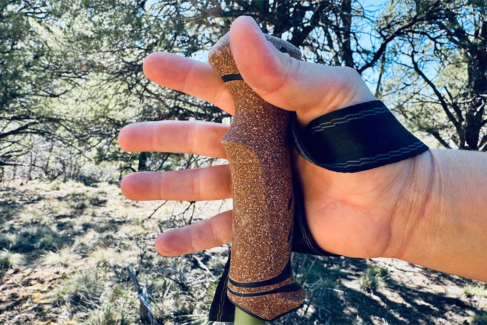 Close up of a hand holding the cork handles of the Legacy poles with pinion and juniper trees in the background.