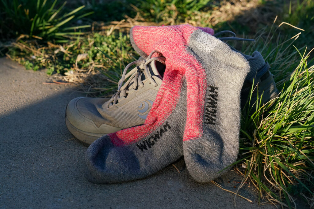 A pair of pink and grey socks rests on a pair of grey shoes in the grass.