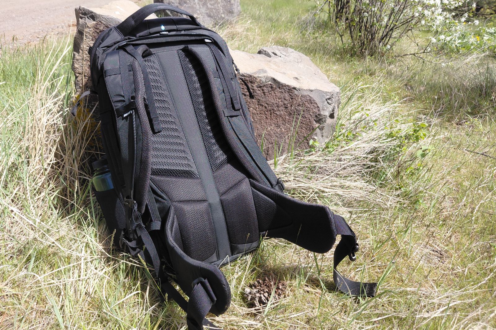A black backpack leans against a rock, showing the back panel.