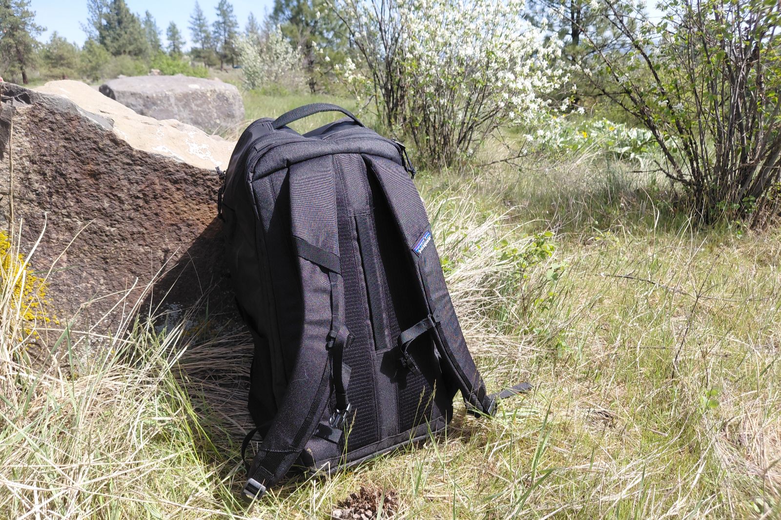 A backpack leans against a rock showing the back panel.