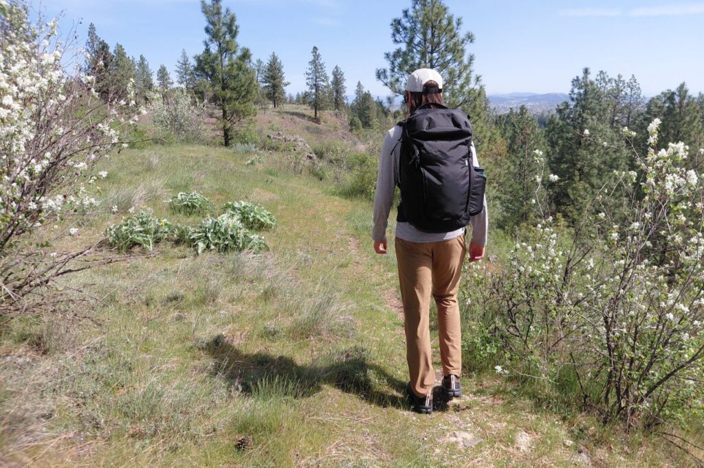 Una persona que lleva una mochila y una gorra camina por un sendero cubierto de hierba rodeado de arbustos en flor y pinos.