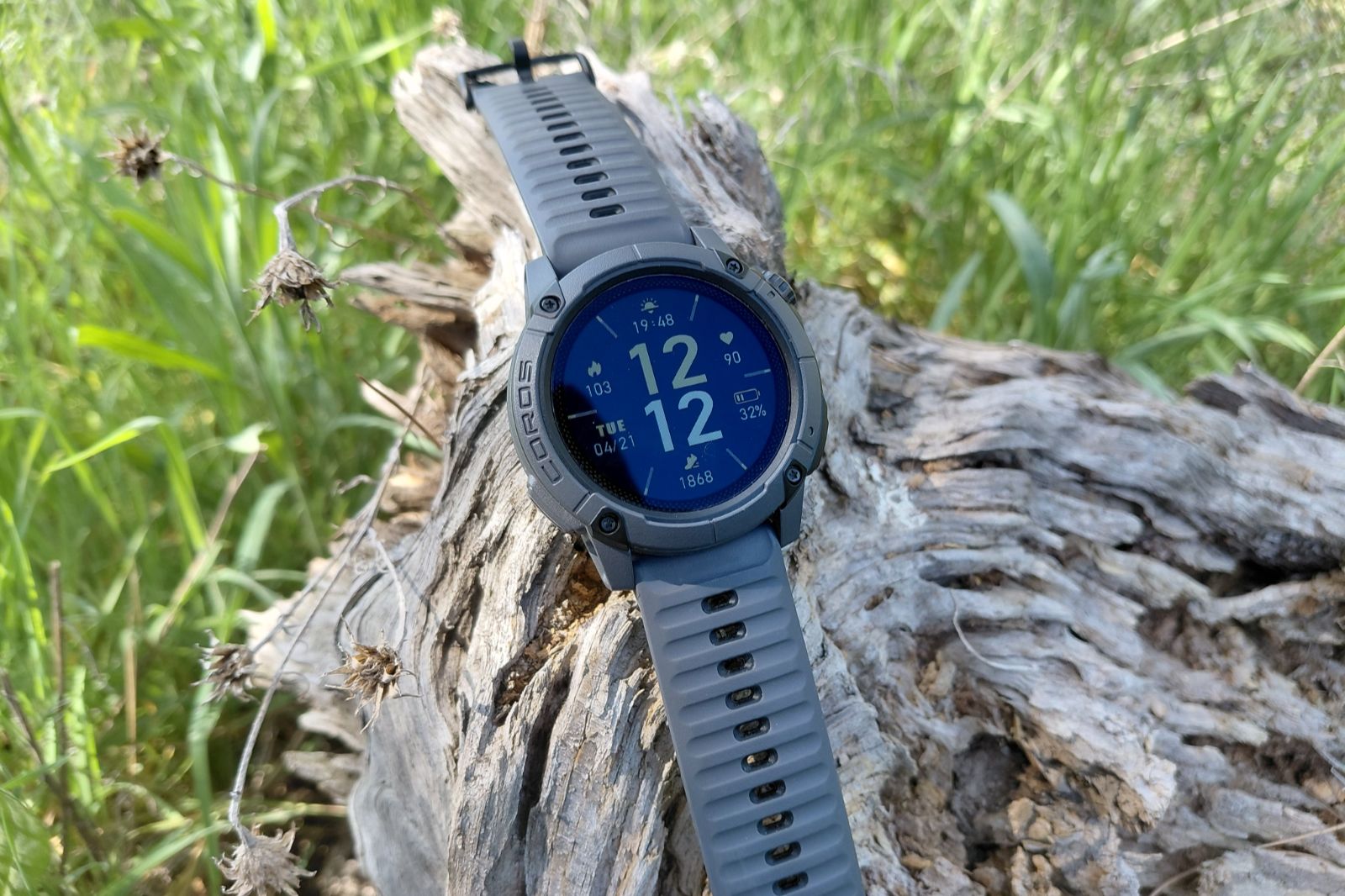 A close-up of a GPS watch on a stump.