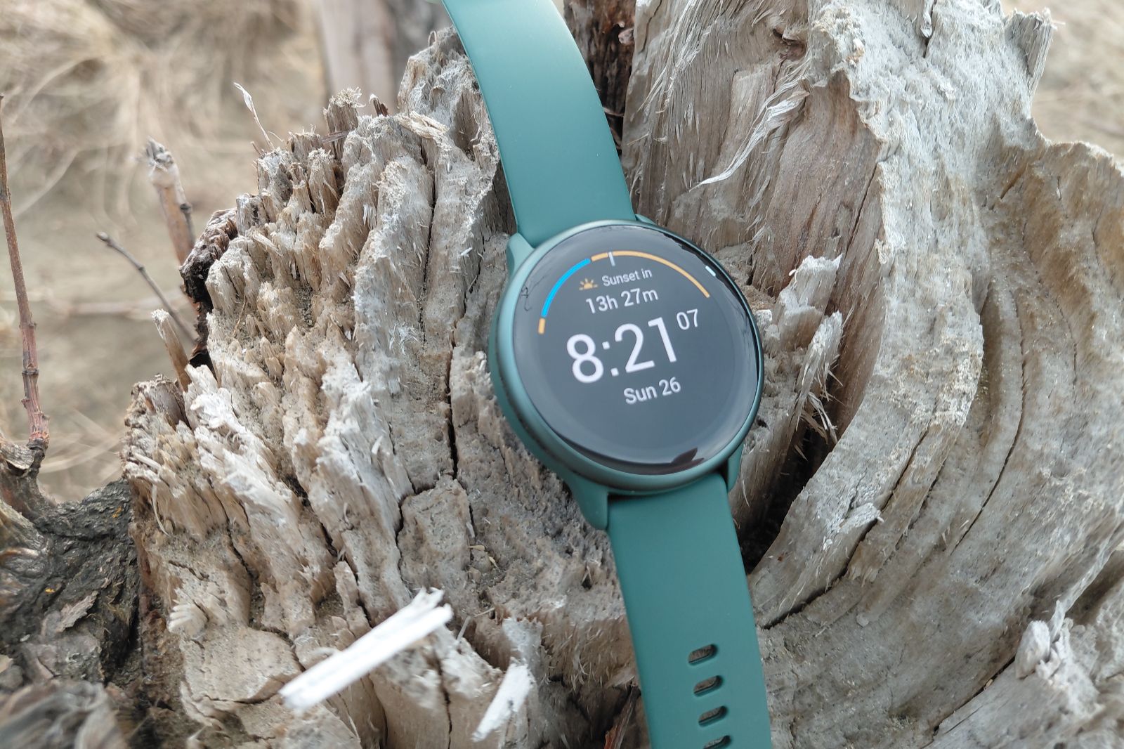 A green smartwatch displaying the time and sunset countdown rests on textured tree bark.