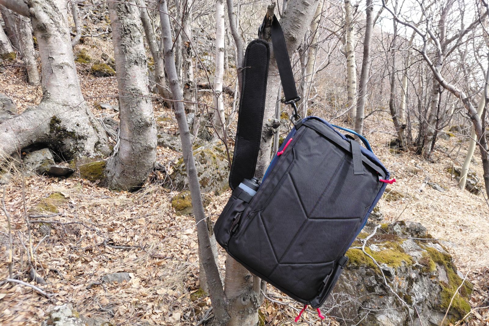 A black backpack hangs from a tree in a barren, leaf-strewn forest.