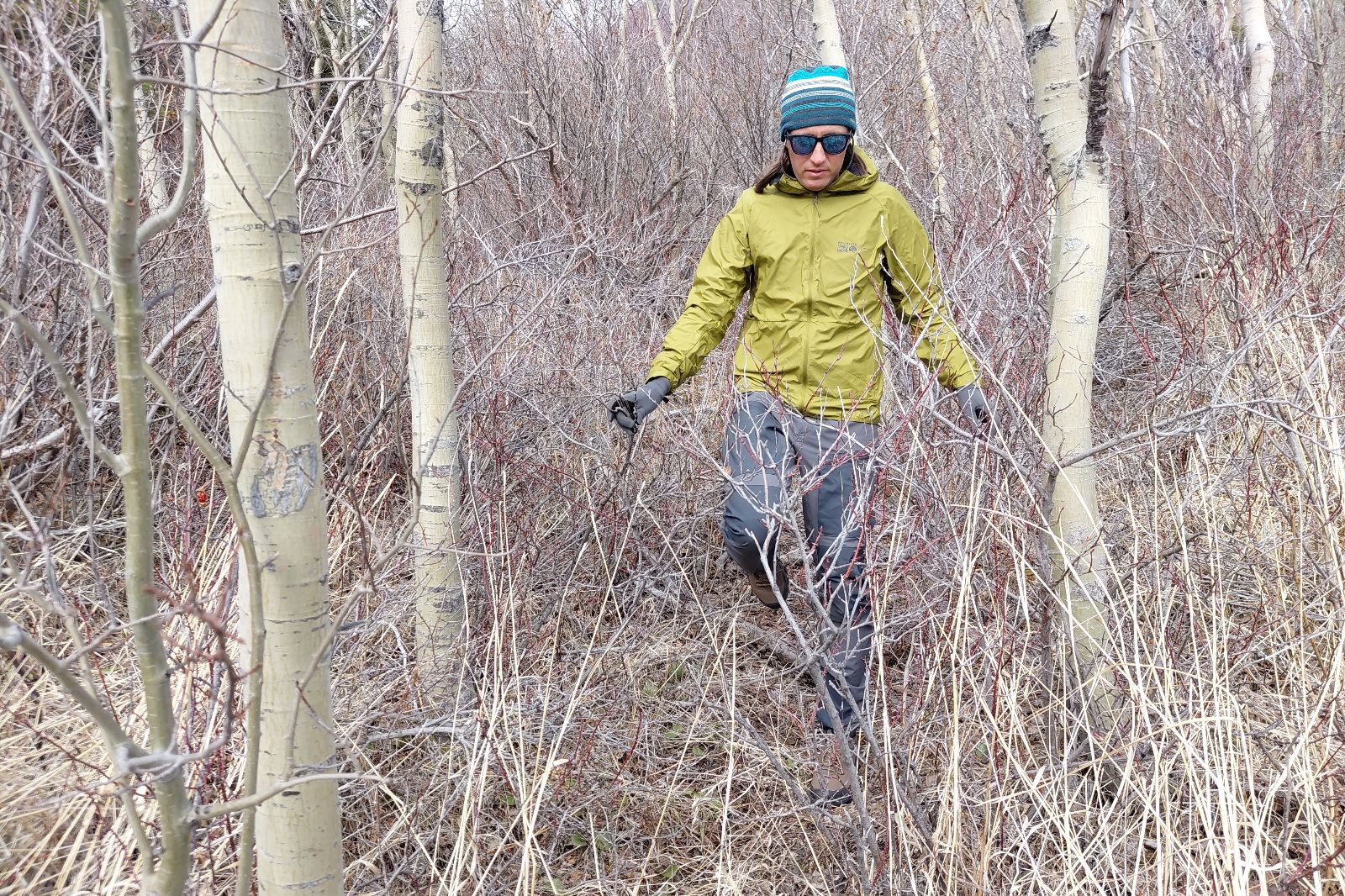 A person in a green jacket and a blue hat walks through a sparse forest with bare trees and dry underbrush