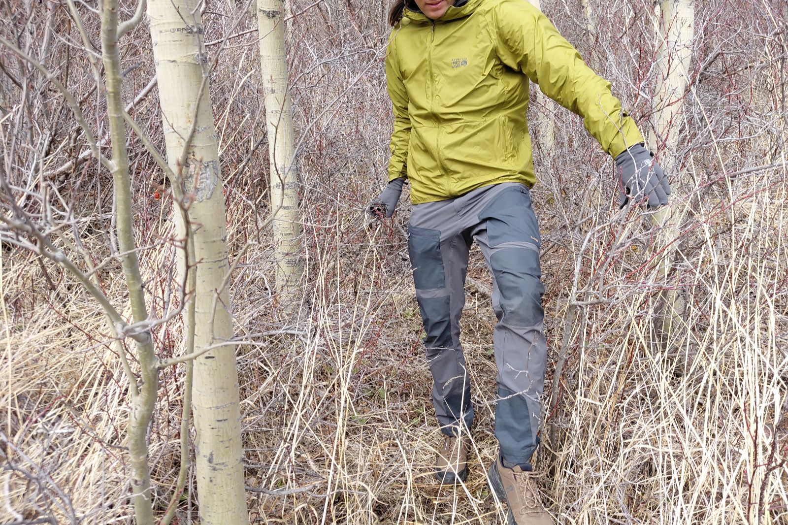 Una persona con chaqueta verde y pantalones grises navega por un bosque denso y sin hojas.