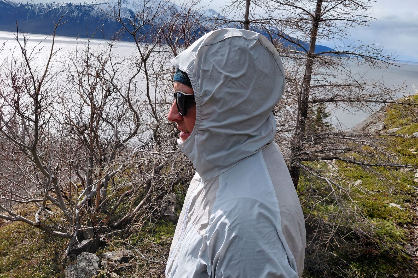 A person in a hooded jacket and sunglasses stands in a rocky, leafless landscape.