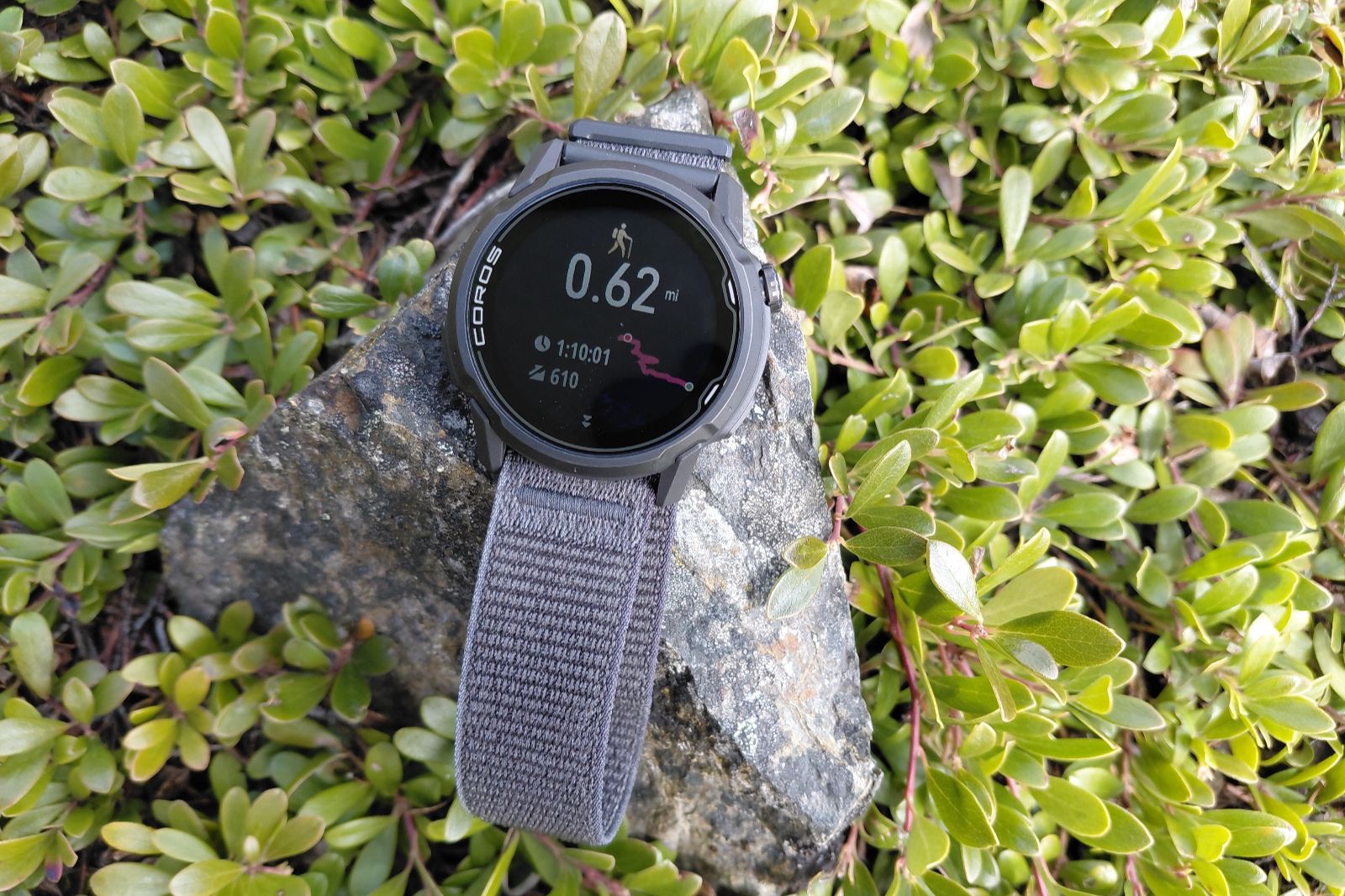A smart watch with a gray strap resting on a rock surrounded by green foliage