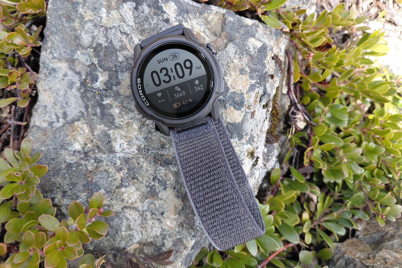A watch with a nylon band sits on a rock with green bushes next to it.