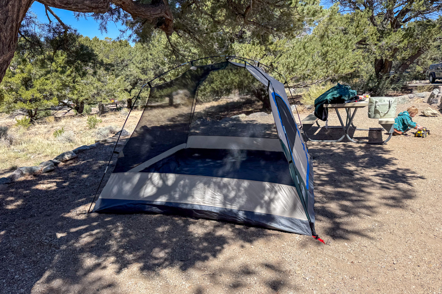 The Coleman Skydome 4 tent body pitched without the rainfly, showing the mostly mesh walls and open interior.